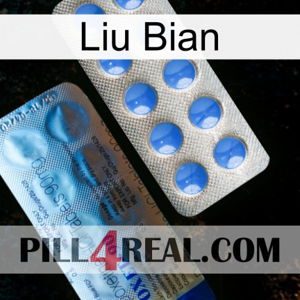 Liu Bian 40